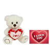 Pluche knuffelbeer met I Love hartje - wit/rood - 20 cm - inc. wenskaart - Knuffelberen