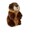 Pluche bruine bever knuffel 18 cm knuffeldieren - Knuffel bosdieren