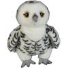 Pluche knuffel dieren Sneeuwuil vogel van 28 cm - Vogel knuffels