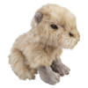 Beige capibaras knuffels 18 cm knuffeldieren - Knuffel bosdieren