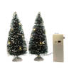 Lumineo Miniatuur boompjes/kerstboompjes - 2x st - met LED verlichting - Kerstdorpen