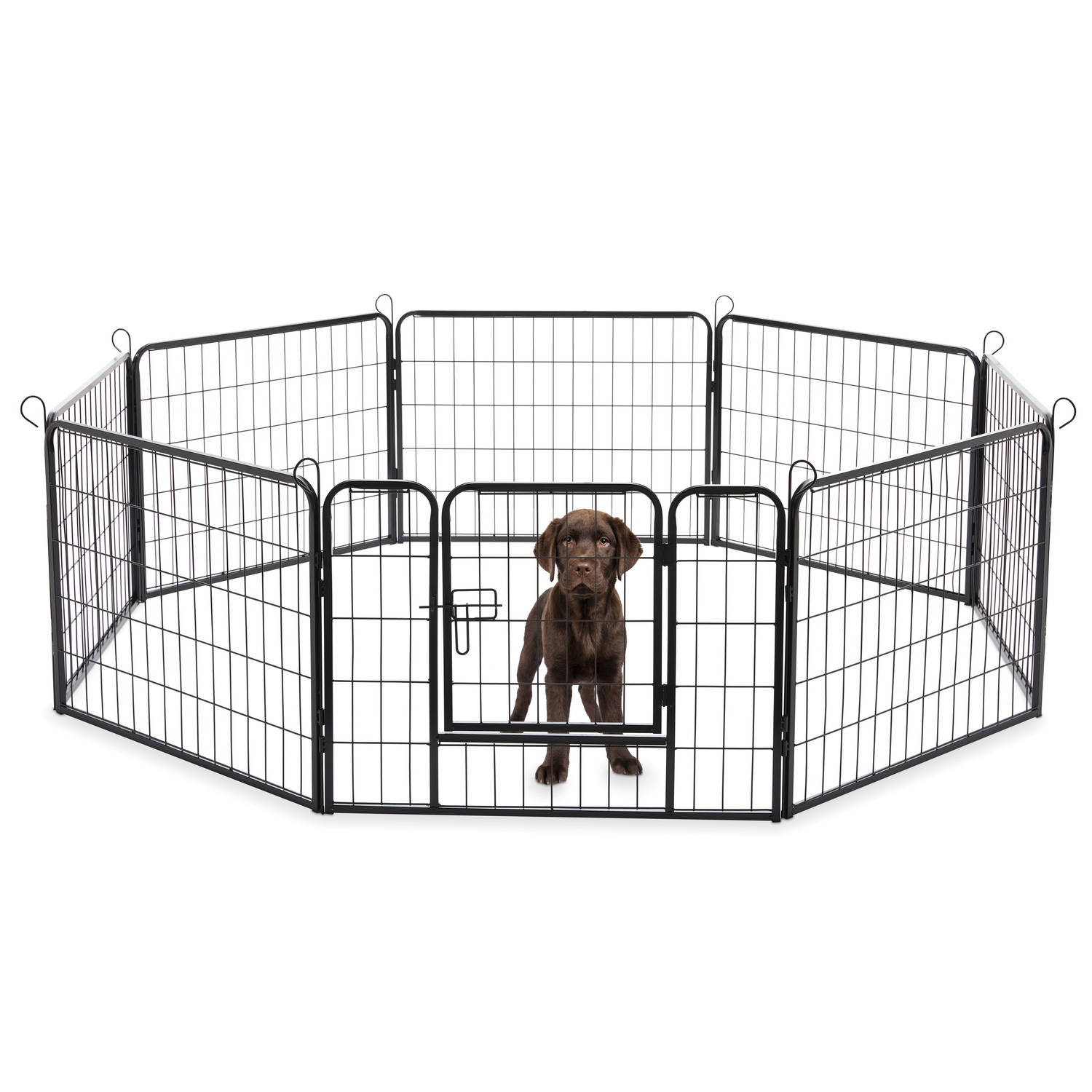 ACAZA Hondenren in 8 panelen - Hondenkennel - Set van Kennelpanelen - Puppyren - Opvouwbaar - Met deur - 60 cm hoogte - Zwart