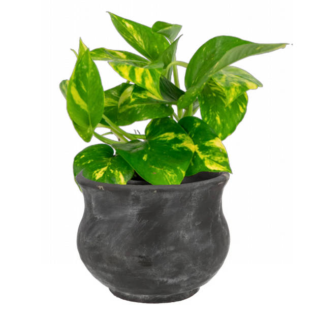 DK Design plantenpot - antraciet - voor kamerplant - 19 x 15 cm - Plantenpotten