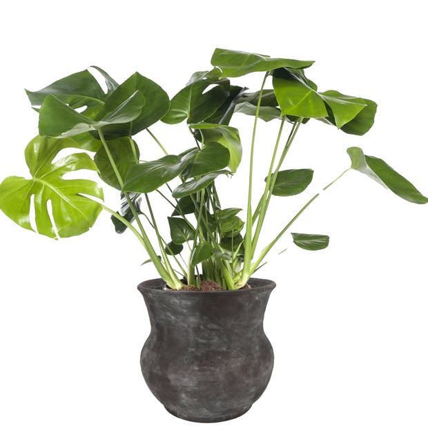 DK Design plantenpot - antraciet - voor kamerplant - 34 x 34 cm - Plantenpotten