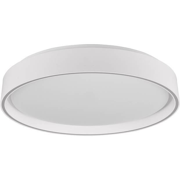 LED Plafondlamp - Plafondverlichting - Trion Lesi - 24W - Dimbaar - Aanpasbare Kleur - Afstandsbediening - Rond - Mat