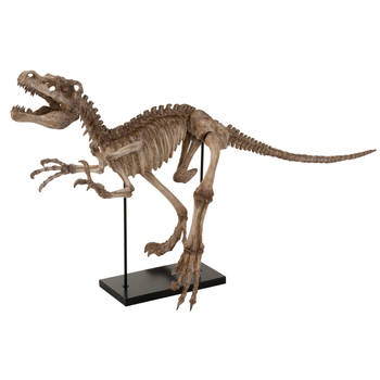 J-line - Dinosaurus Raptor Op Voet Poly Lichtbruin - 148x50x82cm