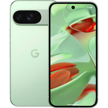 Google Pixel 9 - 256GB - Wintergreen