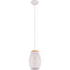 LED Hanglamp - Hangverlichting - Trion Dabi - E27 Fitting - Rond - Mat Wit - Metaal