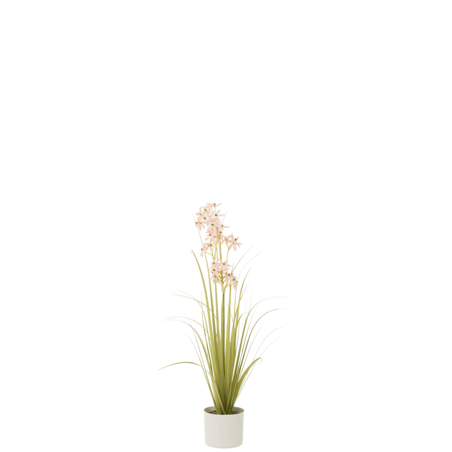 J-line - Allium In Pot Plastiek Groen/licht Roze Small - 20x20x89cm