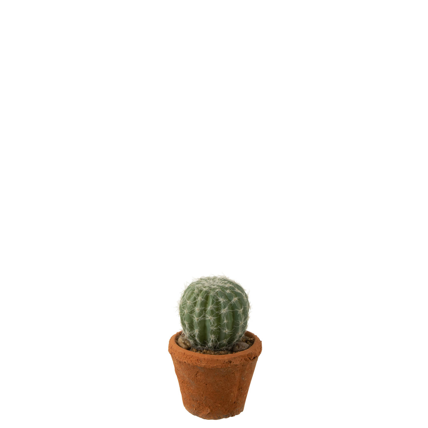 J-line - Cactus Rond In Pot Plastiek Groen - 10.5x10.5x14.5cm