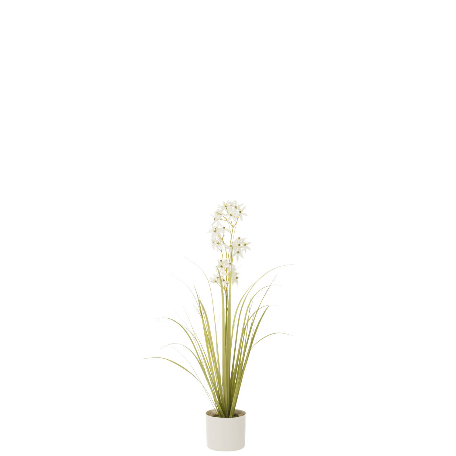 J-line - Allium In Pot Plastiek Groen/wit Small - 15x15x92cm