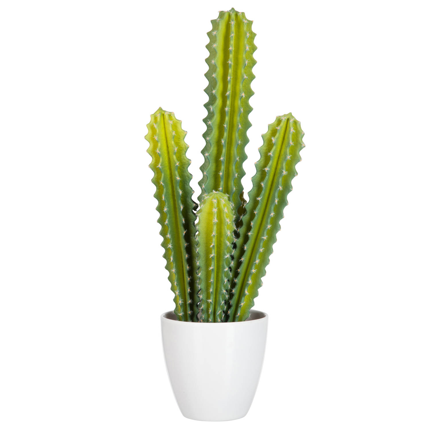 J-line - Cactus 5delig Groen - 22x16x52.5cm