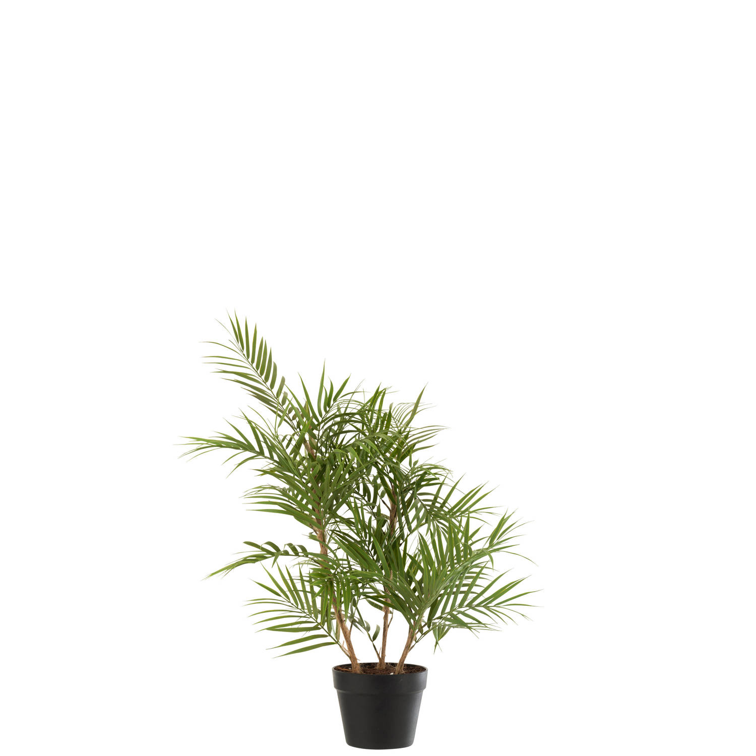 J-line - Bergpalm In Pot Plastiek Groen/zwart Small - 50x50x84cm