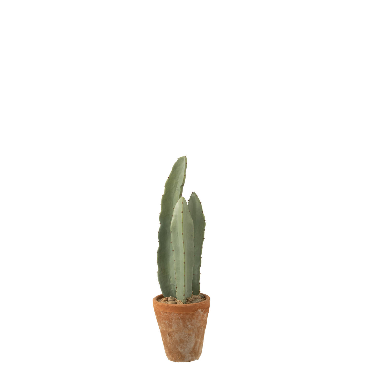 J-line - Cactus 3 Stuks In Pot Plastiek Groen Small - 14x14x47cm