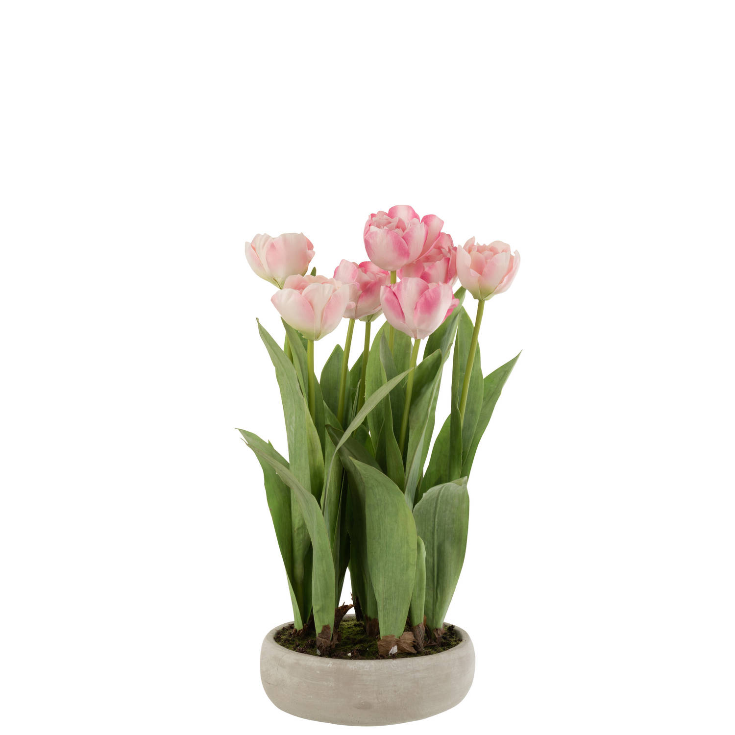 J-line - Tulpen In Pot Cement Grijs Plastiek Roze/groen - 34x31x49cm