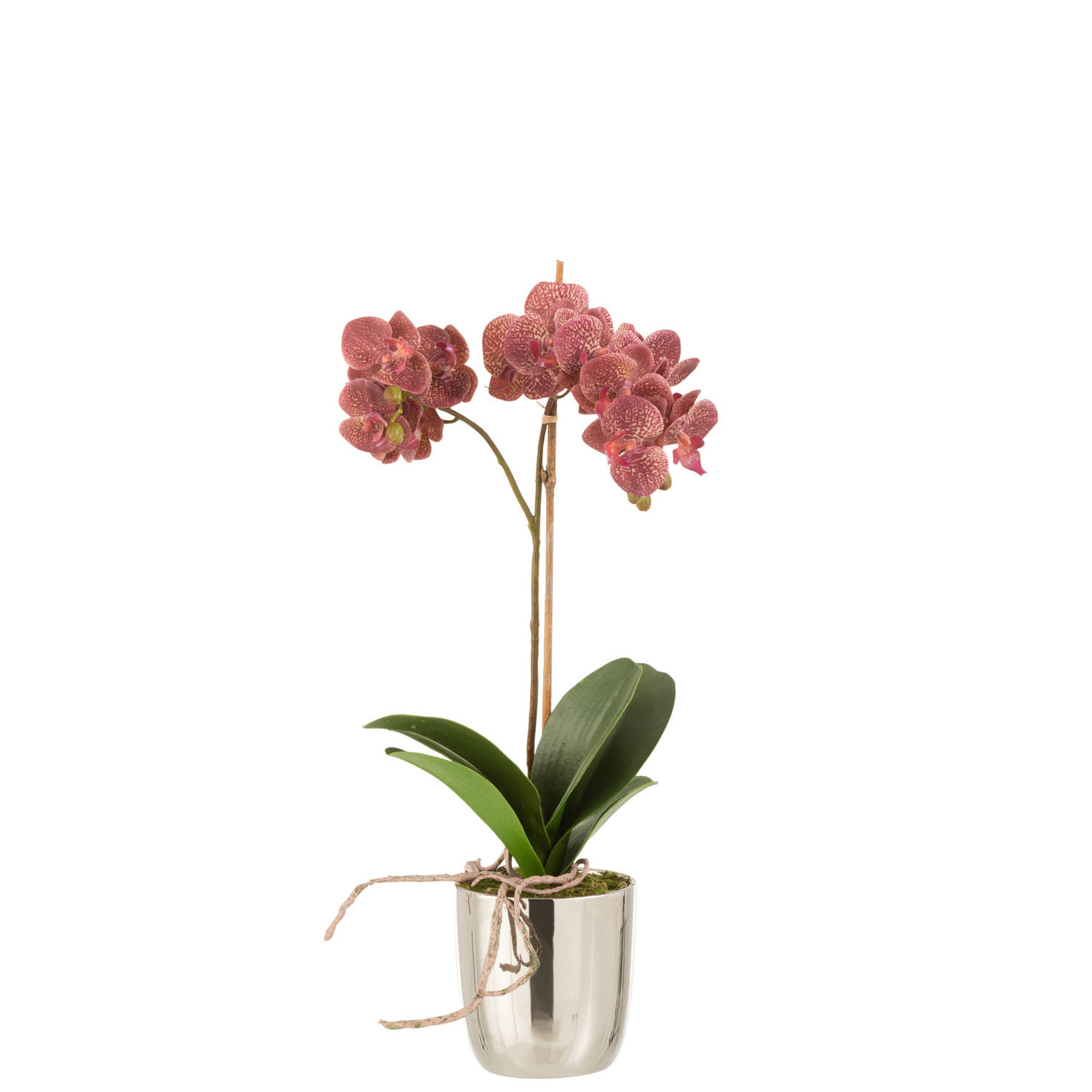 J-line - Orchidee In Pot Plastiek/cement Donker Roze/zilver - 23x23x50cm