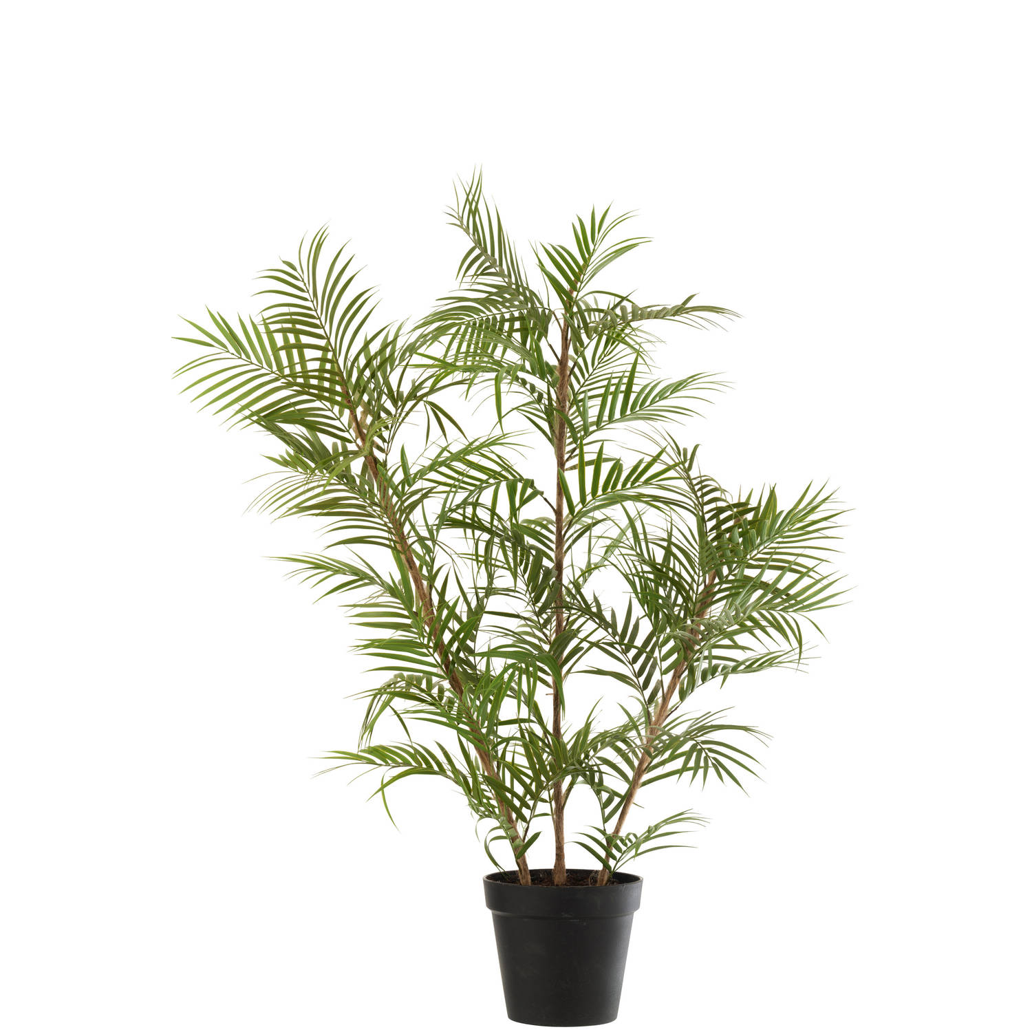 J-line - Bergpalm In Pot Plastiek Groen/zwart Large - 60x31x114cm