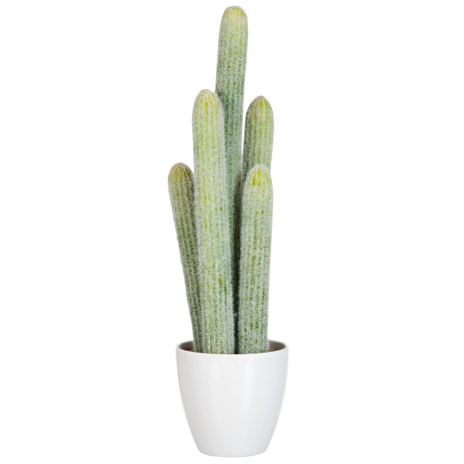 J-line - Cactus 5delig Licht Groen - 23x16x52.5cm