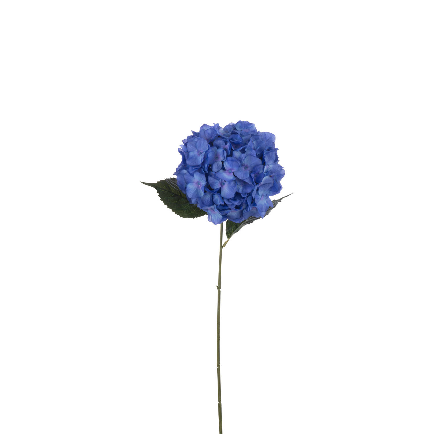 J-line - Hortensia Sproeier Kunststof Blauw - 74x18x13cm