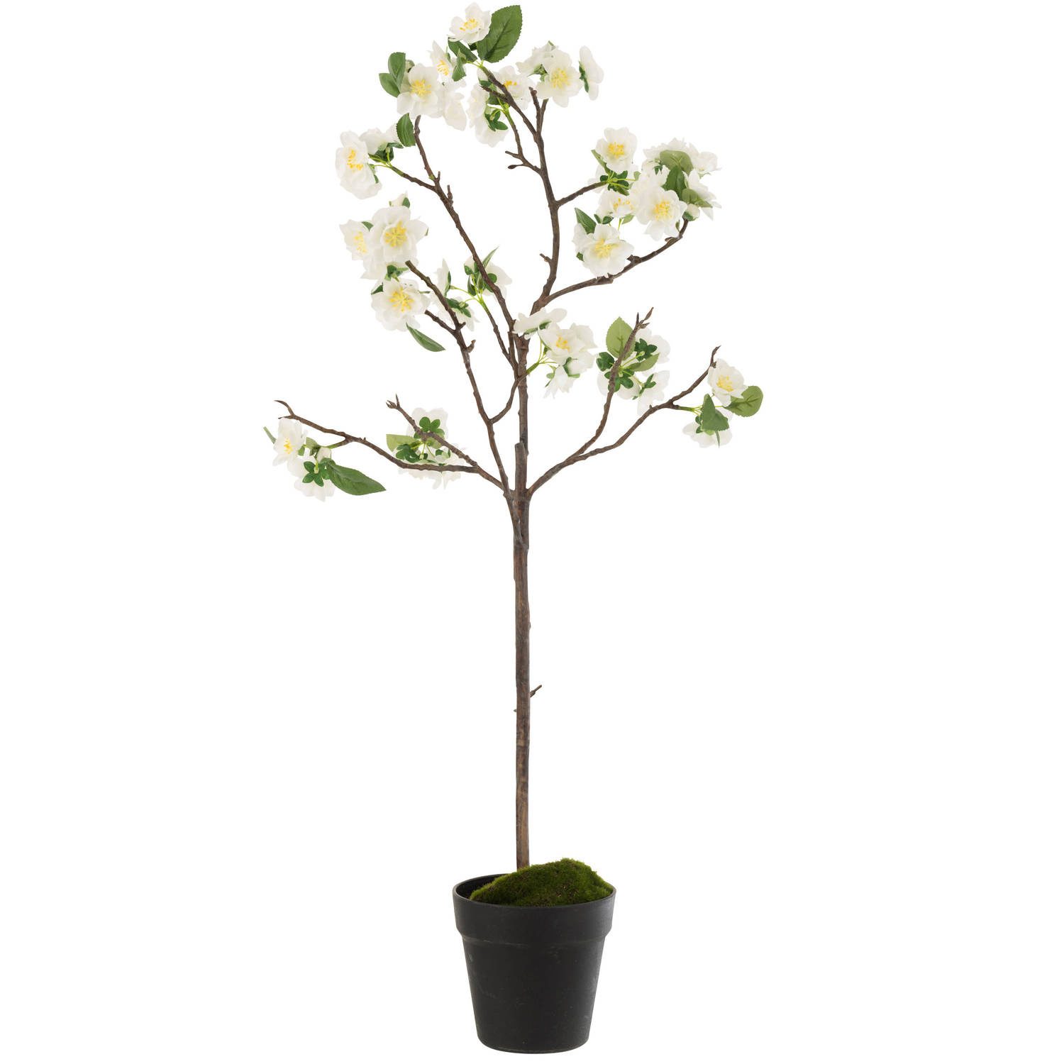 J-line - Bloesemboom Plastiek Wit/bruin Medium - 18x25x88cm