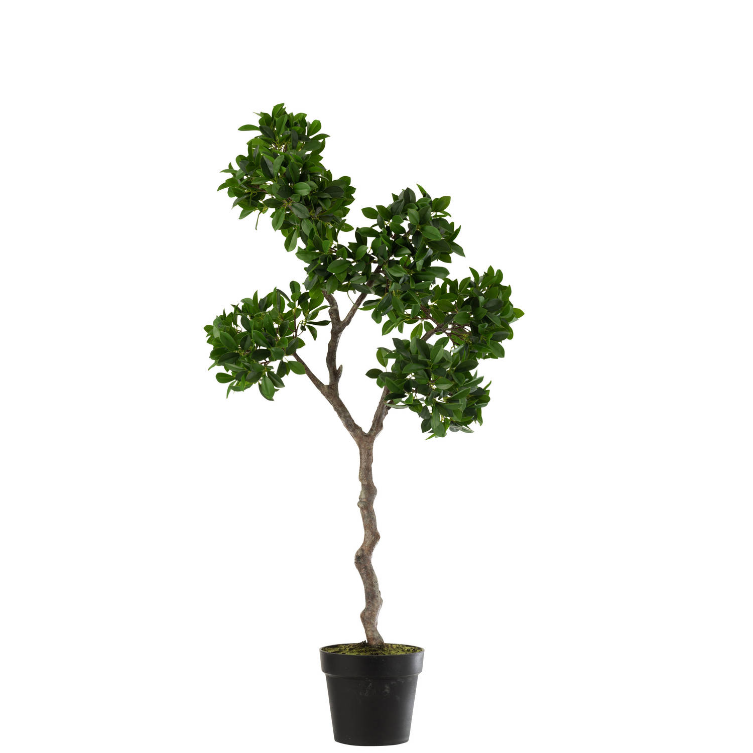 J-line - Chinese Vijg Ficus Boom In Pot Plastiek Groen/zwart Large - 45x45x128cm