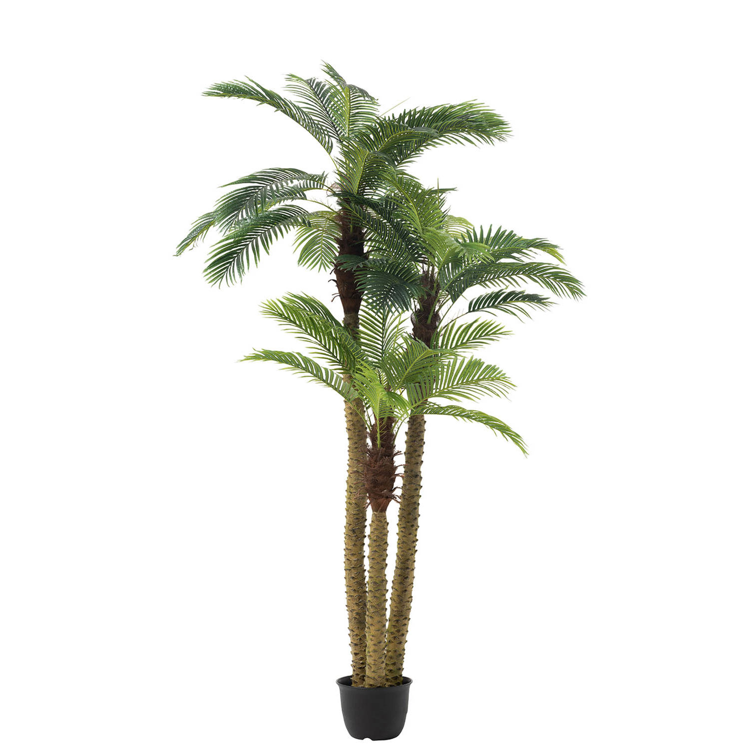 J-line - Palmboom 3delig Real Touch In Pot Plastiek Groen - 175x180x300cm