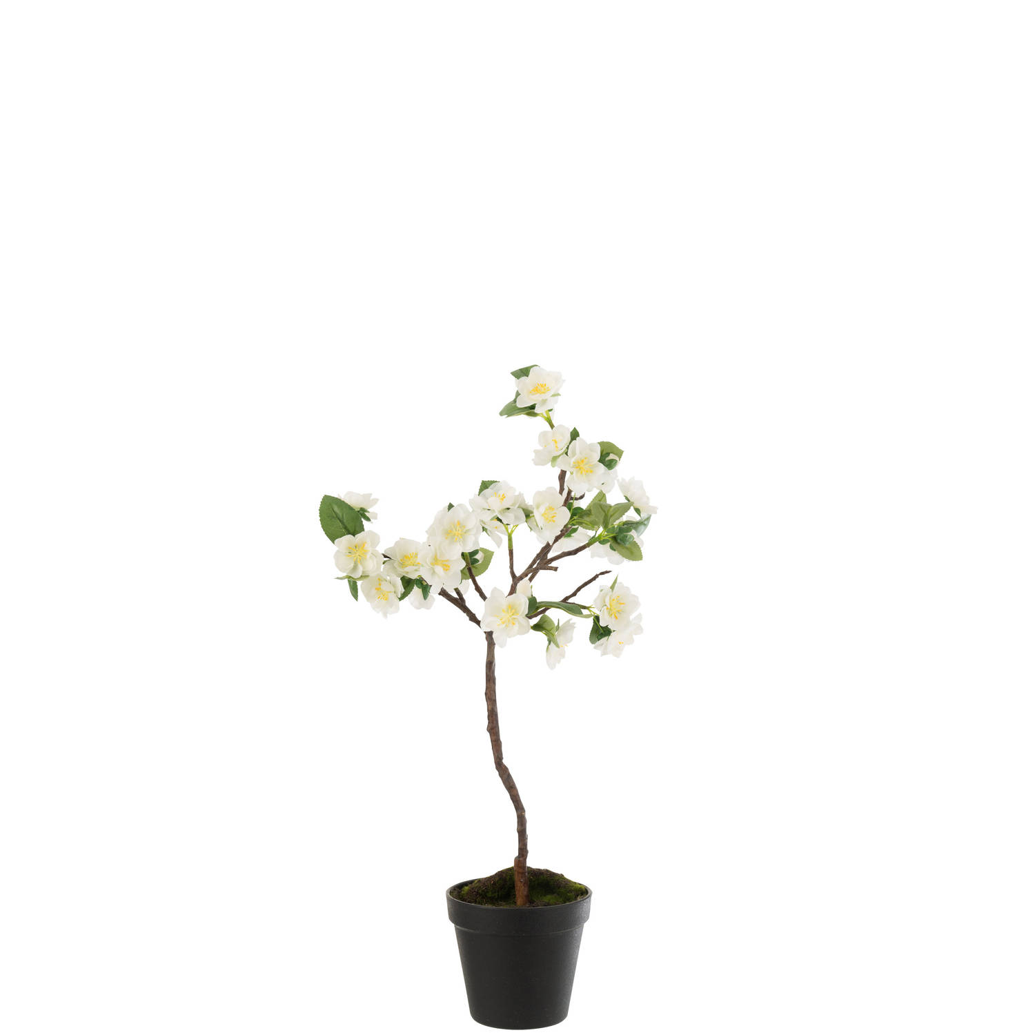 J-line - Bloesemboom Plastiek Wit/bruin Small - 24x24x52cm