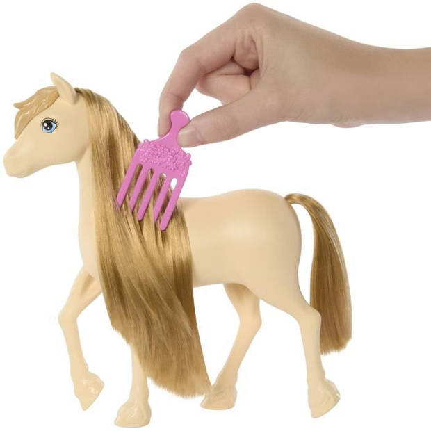 Barbie – Barbie Mysteries: The Great Horse Chase-Pony en accessoires HXJ36