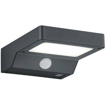 LED Solar Tuinverlichting - Trion Fominy - Zonne-energie - Bewegingssensor - 4W - Spatwaterdicht IP44 - Mat Antraciet -