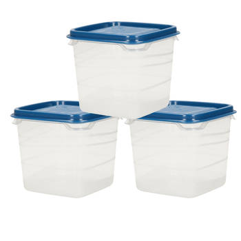 Voorraad/vershoudbakjes - 3x -transparant/blauw - kunststof - 0,3 liter - Vershoudbakjes