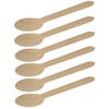 BBQ/verjaardag/camping wegwerp bestek - lepels - 40x - hout - 16 cm - eco friendly/composteerbaar - Eetlepels