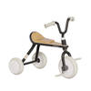 Yvolution - Classic Trike Black